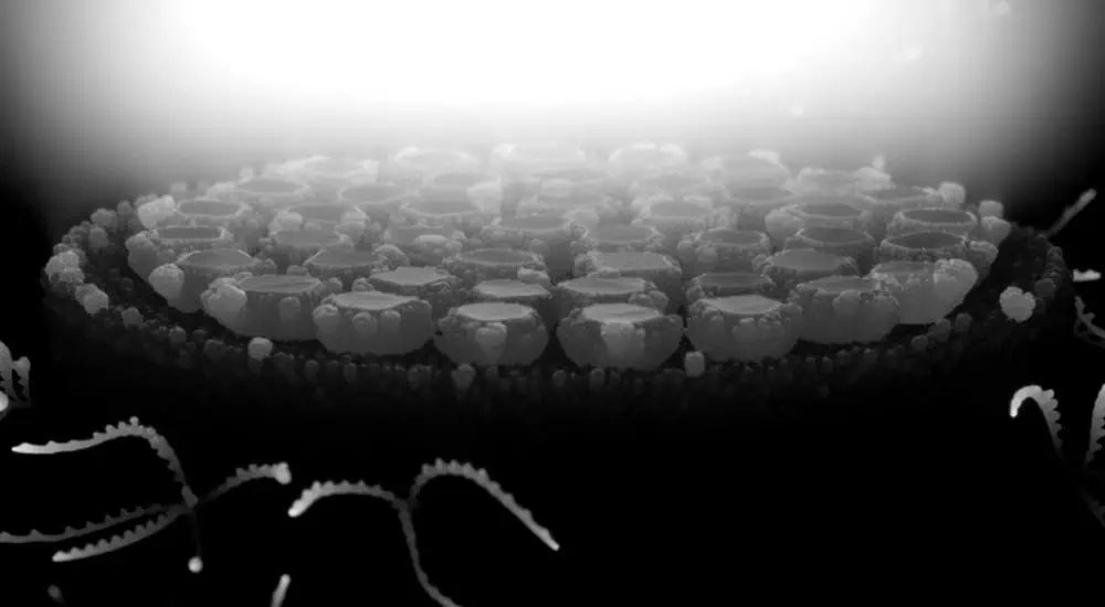 CVD Diamond seeds growing in a reactor Q2 2026 Wholesale lab-grown diamond prices